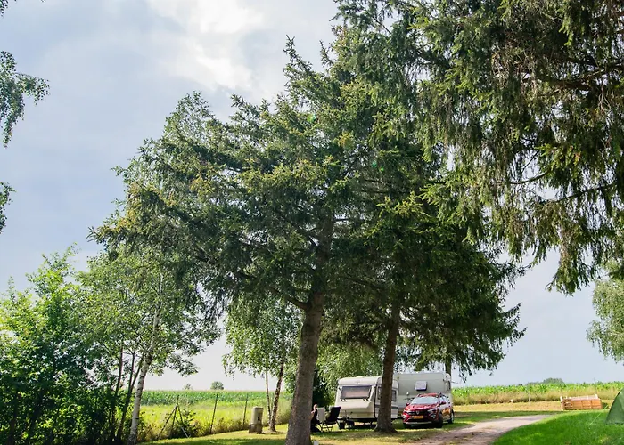 Onlycamp L'oree D'alsace