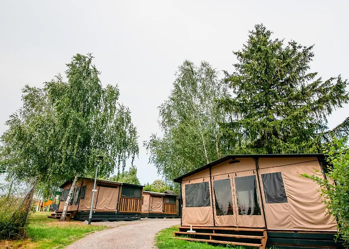 캠프장 Onlycamp L'oree D'alsace